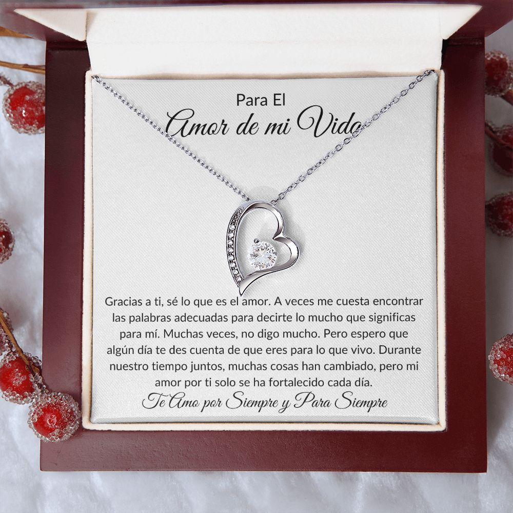 El Amor de Mi Vida | Collar Forever Love - Gracias a Ti